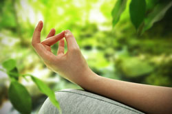 Naturheilpraxis für Ayurvedamedizin & Naturheilkunde und Shanti-Yogaschule in Kröpelin