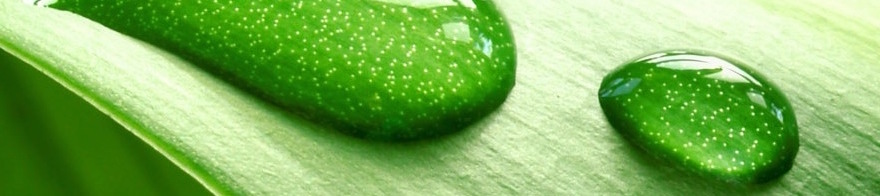 GlücksMedienProduktion in Grabenstätt