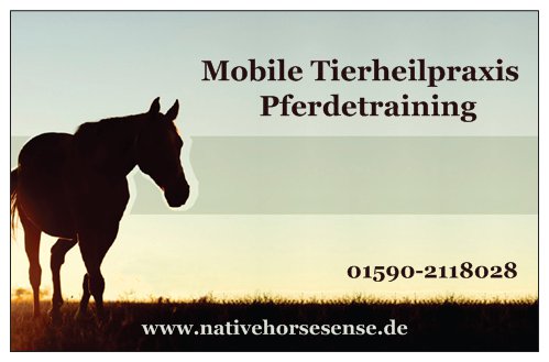 Mobile Tierheilpraxis in Rostock
